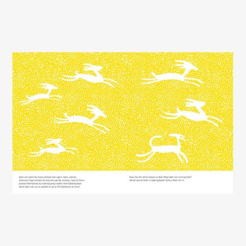 8 Ways to Draw Deer