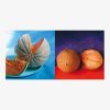 Fruits of India